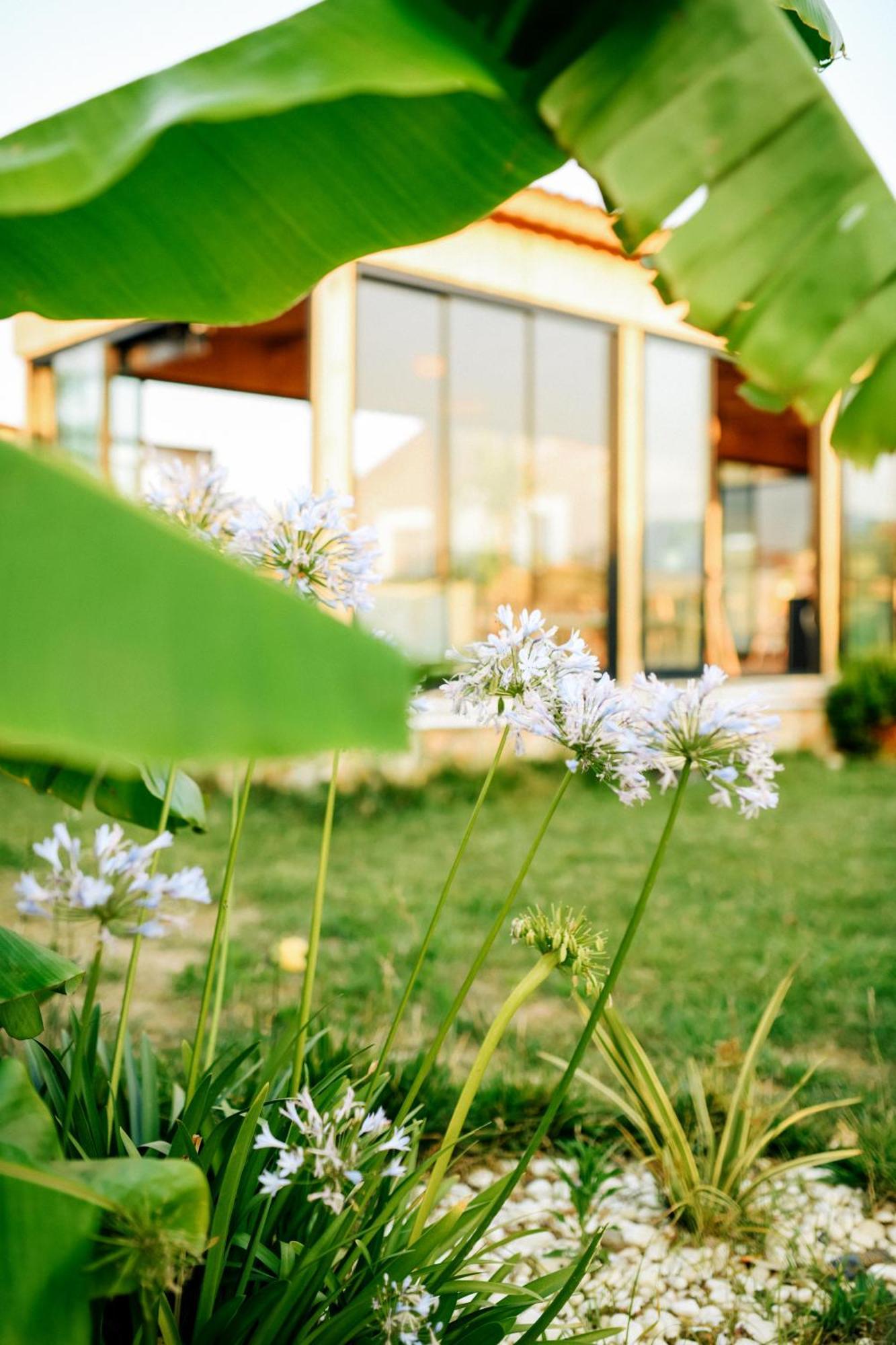 Mandalin Glamping Hotel Selçuk Buitenkant foto